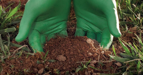 Are Disposable Gloves Biodegradable? Sustainable Hand Protection Alternatives - Mstore