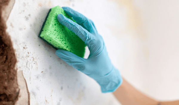 Home Cleaning PPE - Mould - Mstore