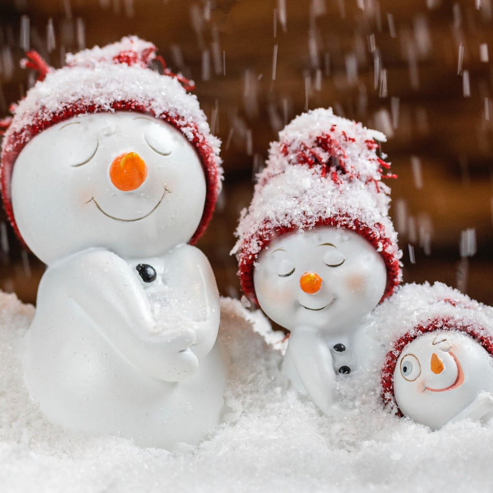 How to make the most of your garden this winter - Mstore