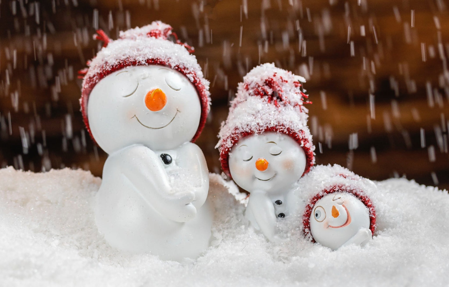 How to make the most of your garden this winter - Mstore