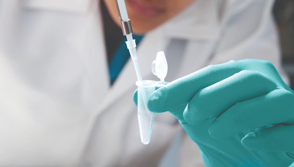Top antiviral gloves of 2021 - Mstore