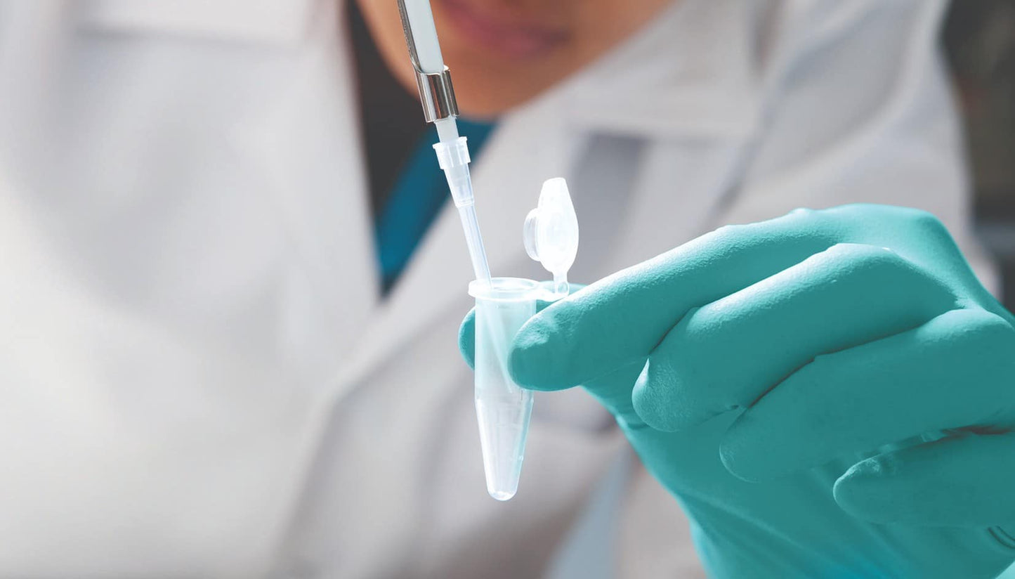 Top antiviral gloves of 2021 - Mstore