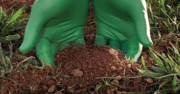 A Guide to Sustainability