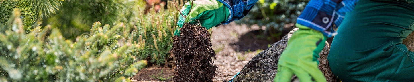 PPE for Plant Care - Mstore
