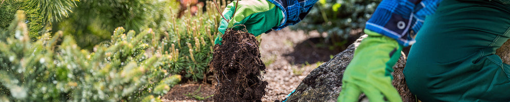 Plant Care