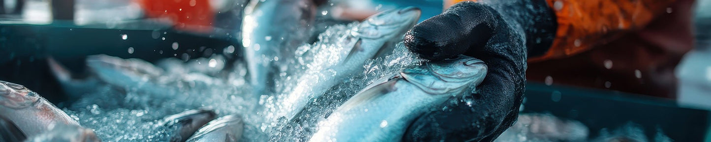 PPE for Cold Store and Handling - Mstore