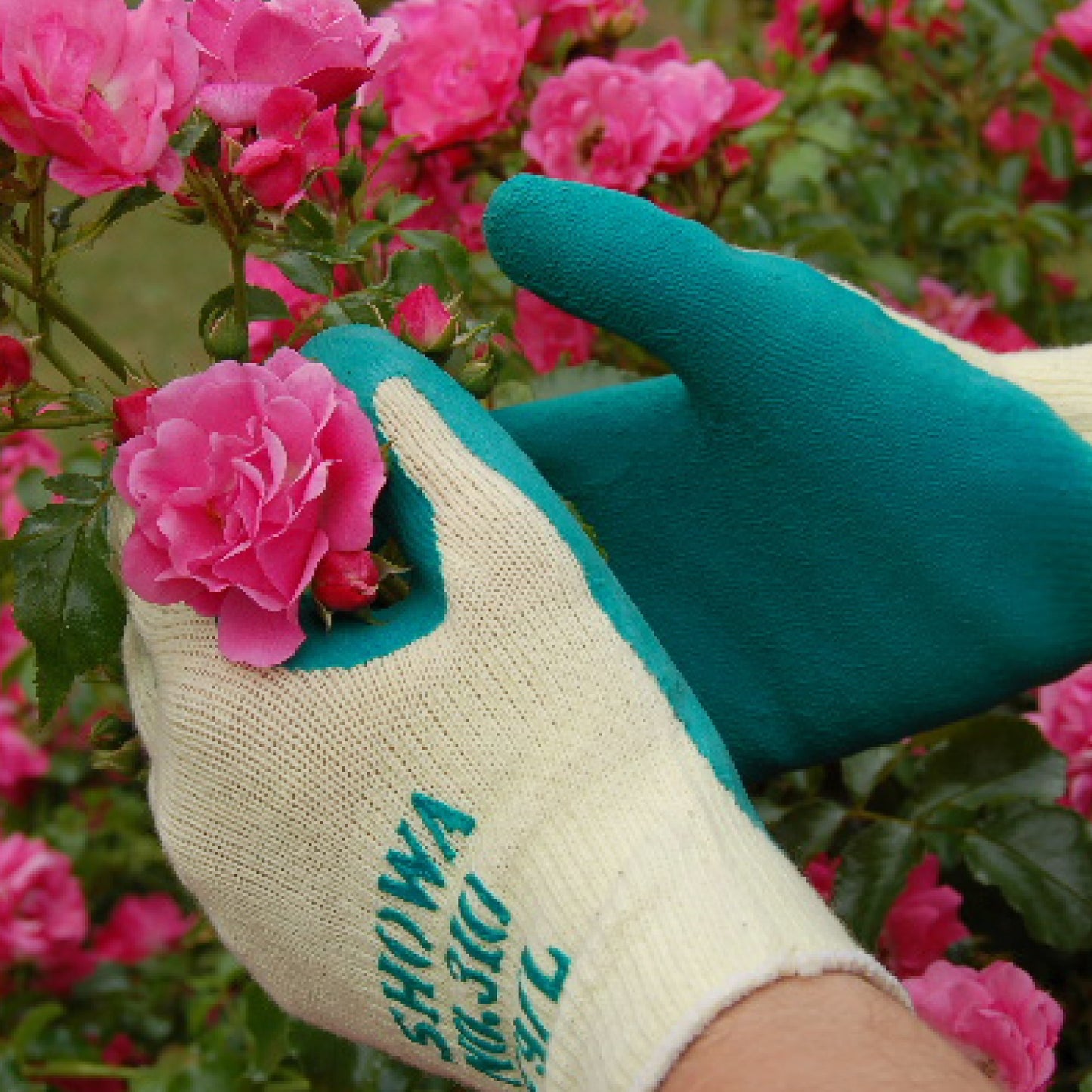 SHOWA 310 Builders Safety Work Gloves with Textured Grip in Green - Mstore