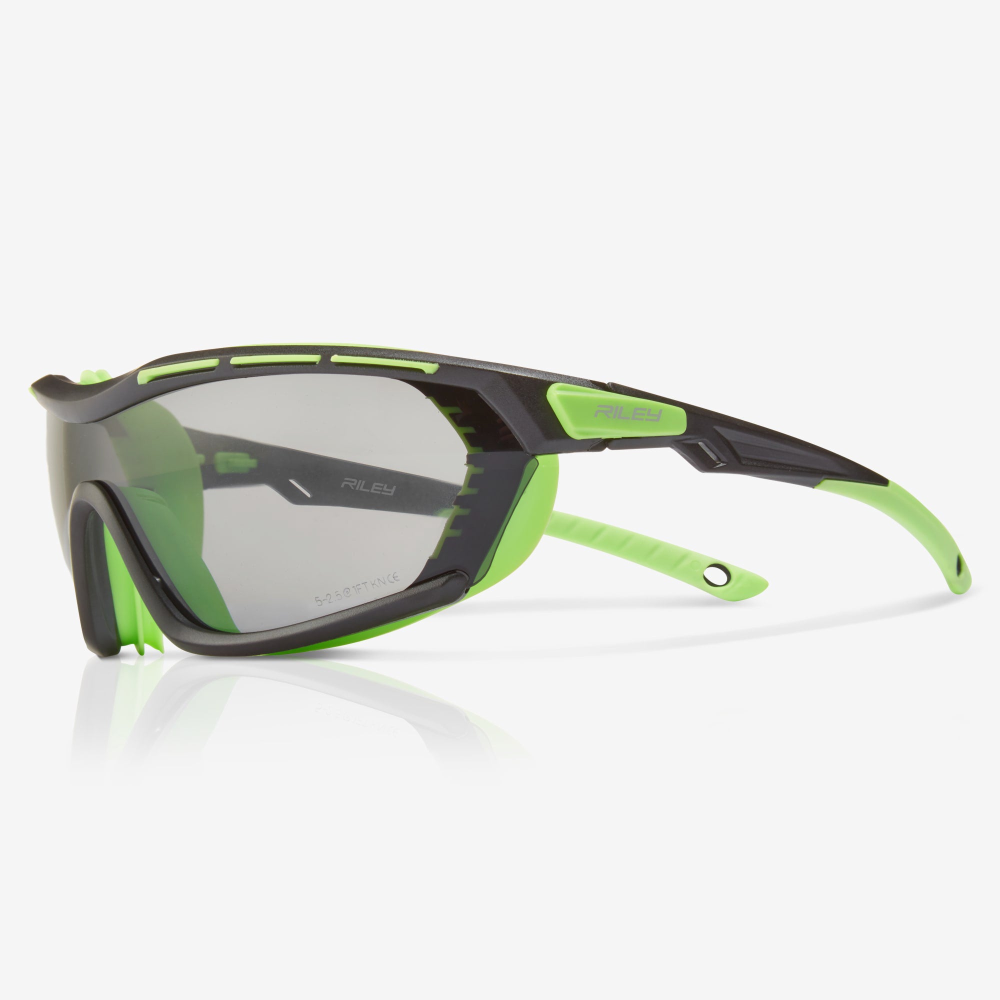 Arion Padded Seal Safety Glasses Frame Grey Lens