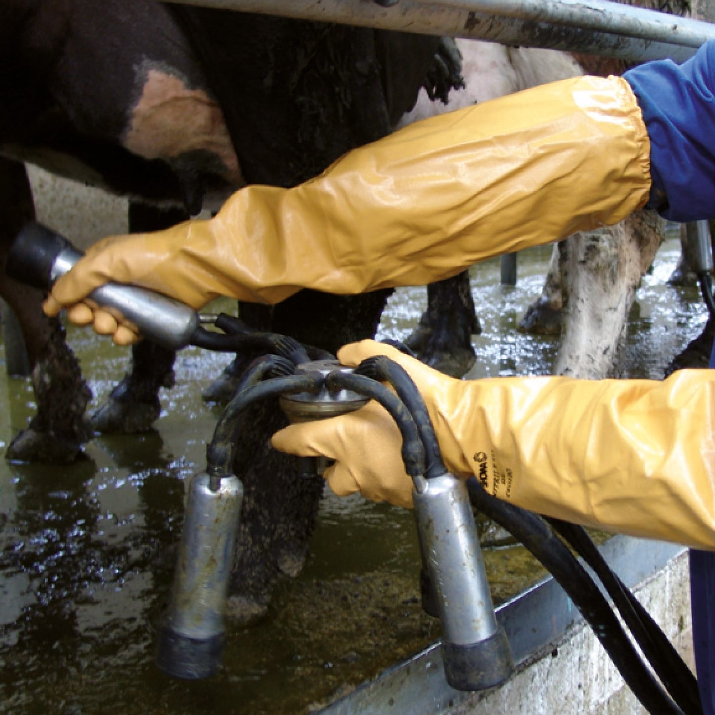 SHOWA 772 Extra Long Nitrile Safety Gauntlet Gloves with Elasticated Cuff - Mstore